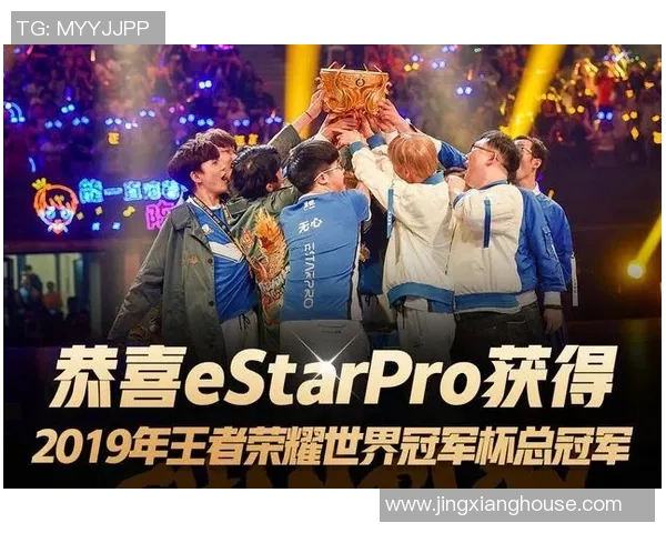 RNG在世界冠军杯中的战术表现分析与评价探讨