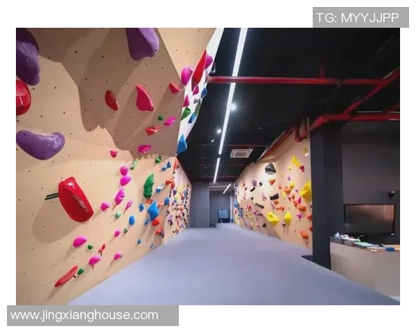 广州攀岩队的精神探索与挑战之旅：攀岩巨献背后的故事与意识