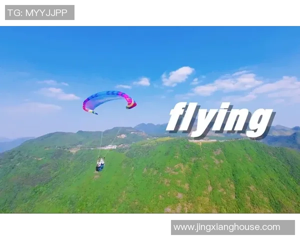 深入分析杭州极限运动队的包夹战术及其战术优势与应用策略