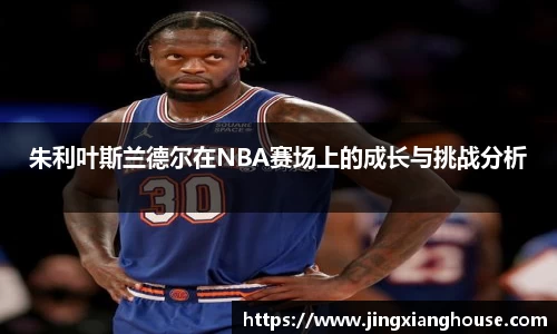 朱利叶斯兰德尔在NBA赛场上的成长与挑战分析