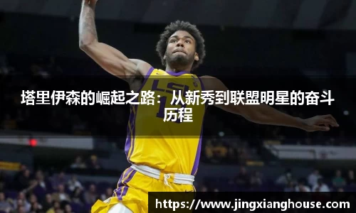 乐盈VI官网