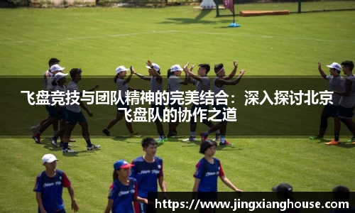 乐盈VI